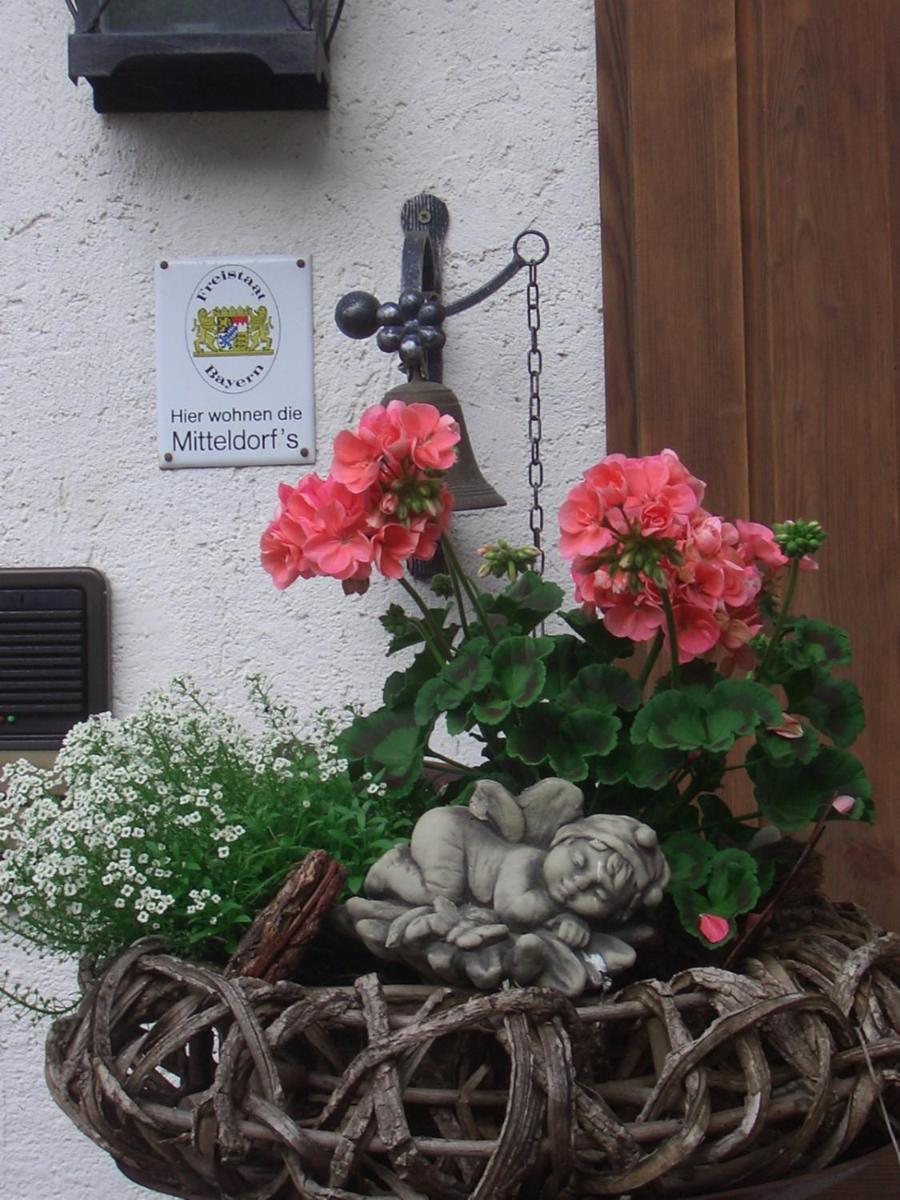 Ferienwohnung Mitteldorf 奥巴拉马高 外观 照片